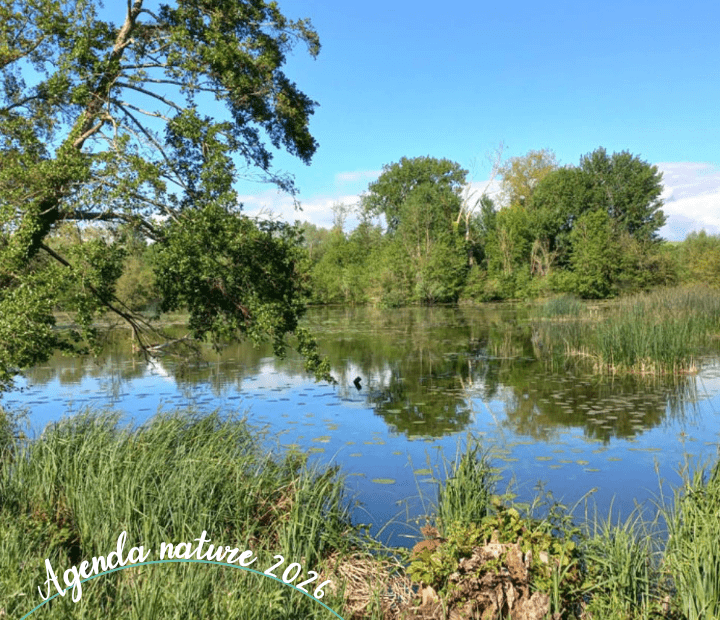 Balade contée en picard avec le conteur Jean-Marie François